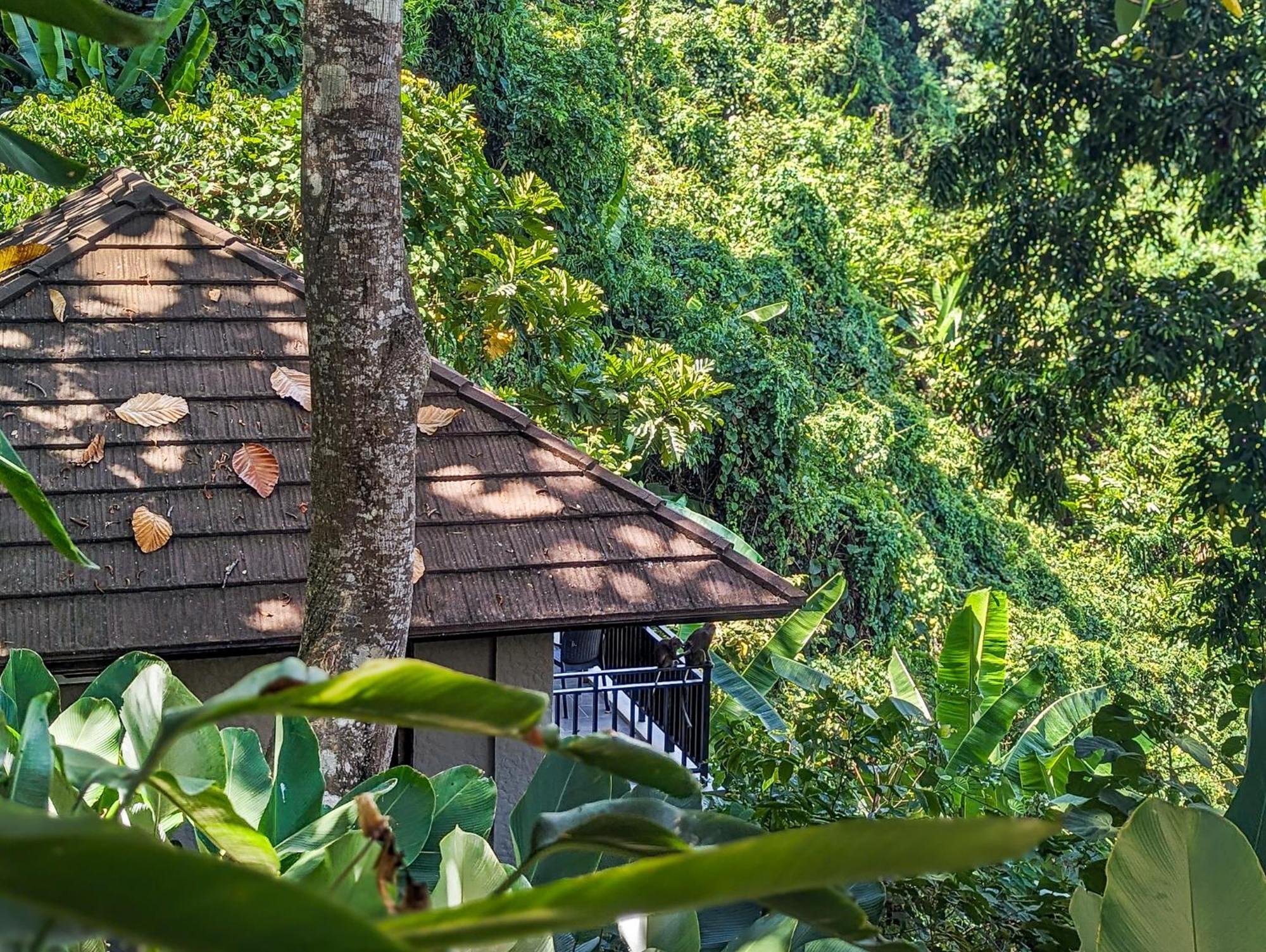 Perch El Nido'S Seaview Villas Overlooking Marimegmeg Luaran gambar